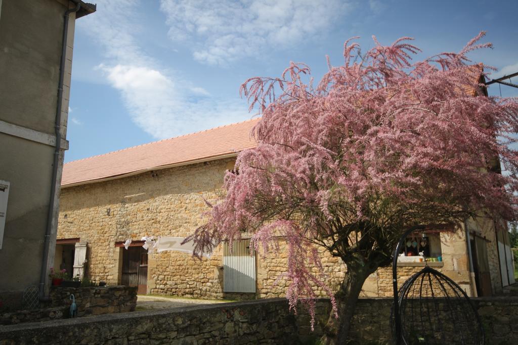 La Maison Du Bonheur Anlhiac المظهر الخارجي الصورة